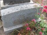 image of grave number 772540